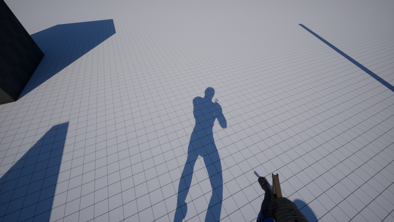 Own shadow in sun